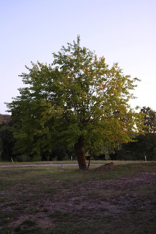 Ardeche - Gites Objectif Evasion Montreal  ภายนอก รูปภาพ